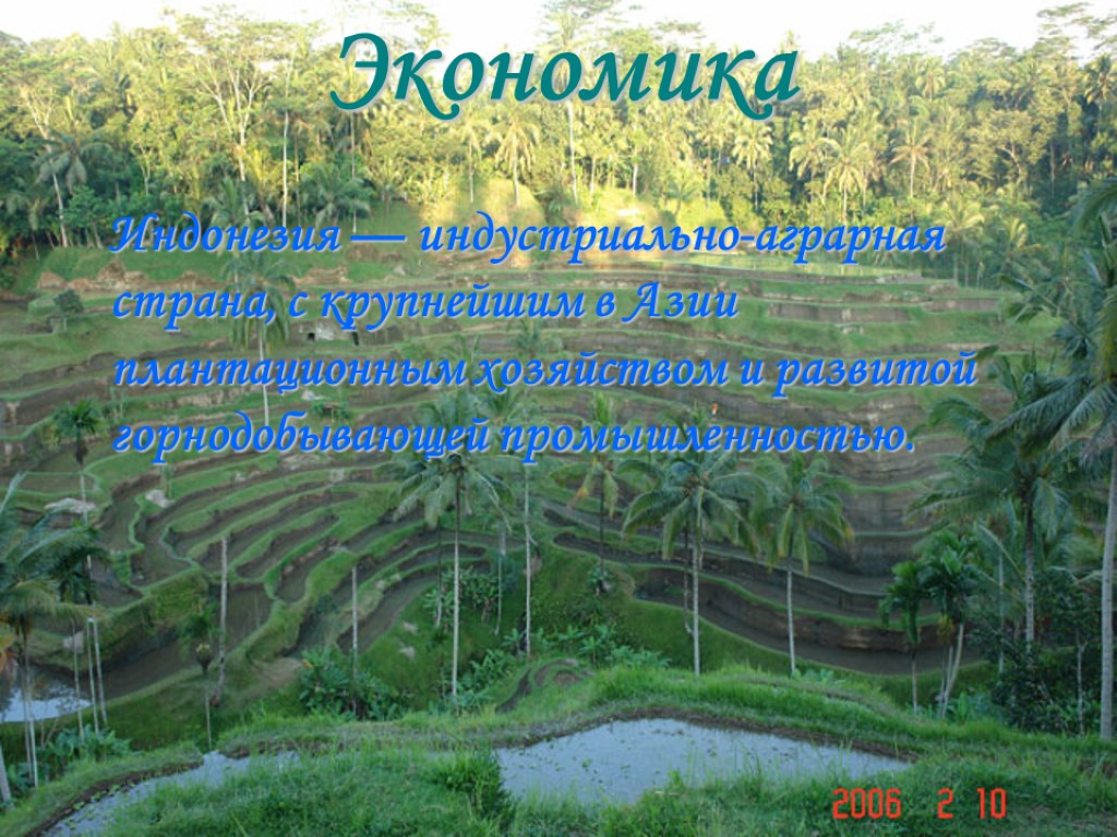 Экономика Индонезия — индустриально-аграрная страна, с крупнейшим в Азии плантационным хозяйством и развитой горнодобывающей